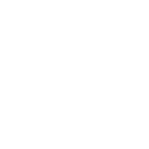 X (Twitter)